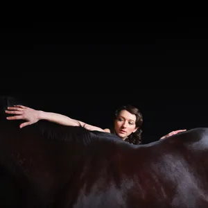 Bring me the workhorse